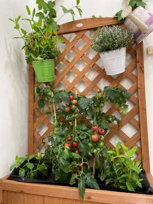 Foto Escuela Infantil Espacio Infantil Arganzuela #2