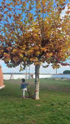 Foto Colegio Magea Escuela Activa #2