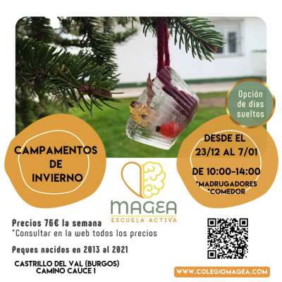 Foto Colegio Magea Escuela Activa #2