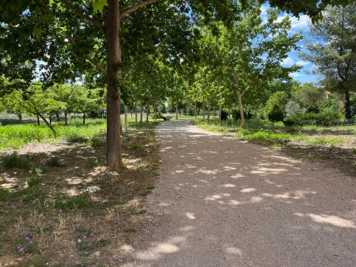 Foto Colegio Complutum Montessori School #3