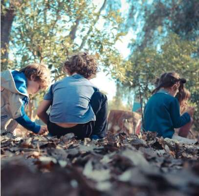 Foto Colegio Cuatronaranjos 