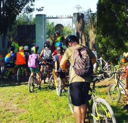 Foto Colegio Cuatronaranjos 