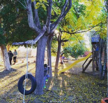 Foto Colegio Cuatronaranjos 