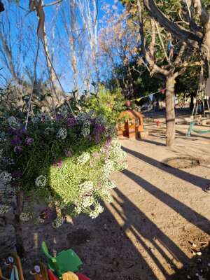 Foto Colegio Cuatronaranjos 