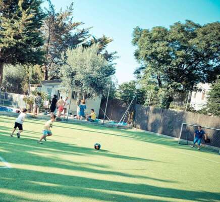 Foto Colegio Cuatronaranjos 