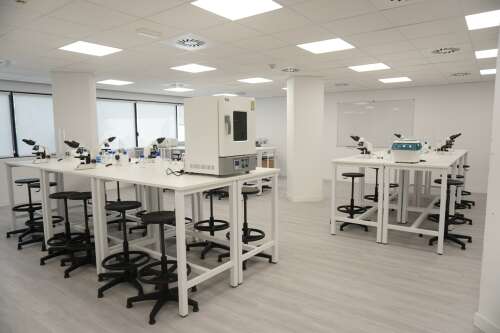 Foto Instituto CEAC Instituto de Formación Profesional Oficial | Madrid #2