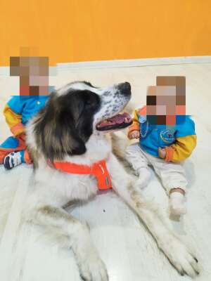 Foto Escuela Infantil Árbol Mágico #3