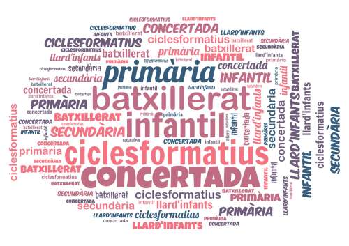 Foto Instituto Ciclos Pàlcam #2