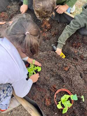 Foto Colegio Terra  #2