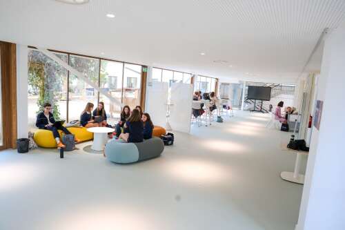 Foto Colegio Brewster La Moraleja #1