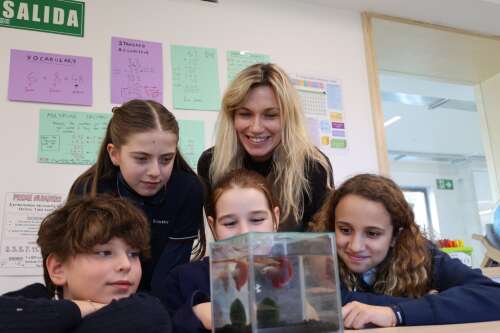 Foto Colegio Brewster La Moraleja #2