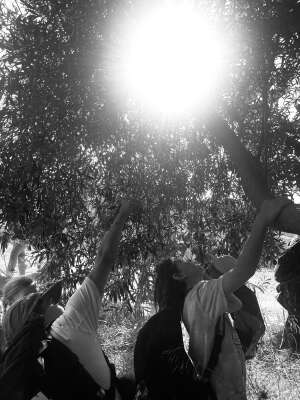 Foto Colegio Escuela Saudade, Fundación Centro Crea-t #2