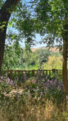 Foto Colegio Camino, Self-Directed Education #1