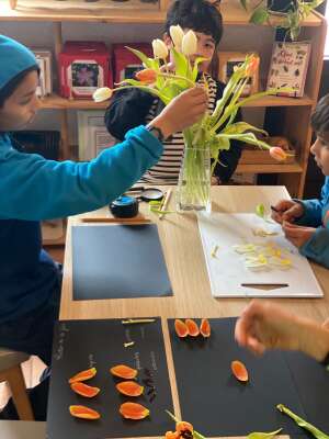 Foto Colegio Natura Montessori School #2