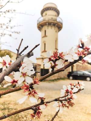 Foto Colegio Natura Montessori School #2