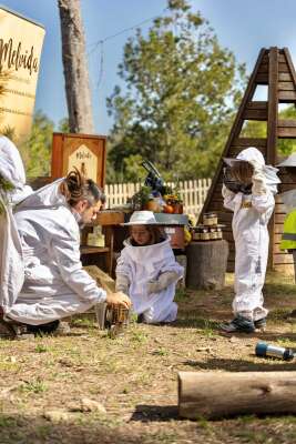 Foto Colegio Natura Montessori School #2