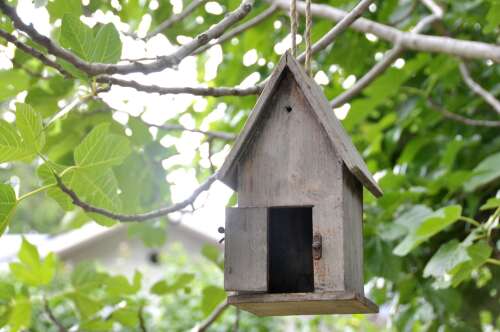 Foto Llar d'infants La Casa del Baobab- Jardin de infancia #2