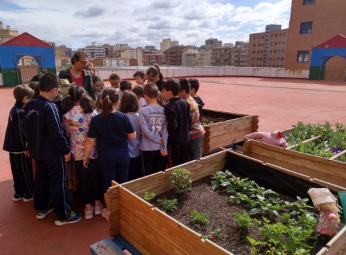 Foto Colegio Azorín #3