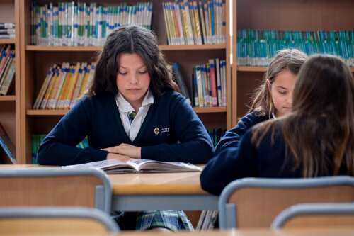 Foto Colegio CEU Jesús María #2