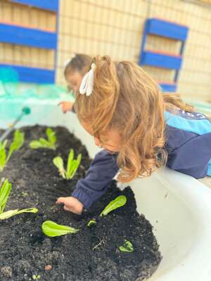 Foto Colegio Calasancio #2