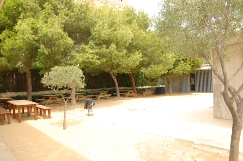 Foto Colegio El Fabraquer #3