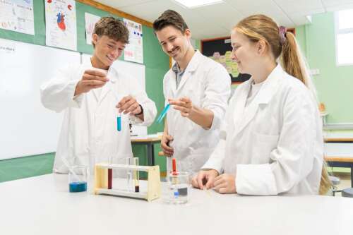 Foto Colegio El Limonar International School Villamartín (ELIS Villamartín) #2