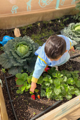 Foto Escuela Infantil LITTLETOWN Centro Educativo Infantil Bilingüe de 1er Ciclo #2