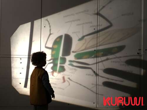 Foto Colegio KURUWI #0