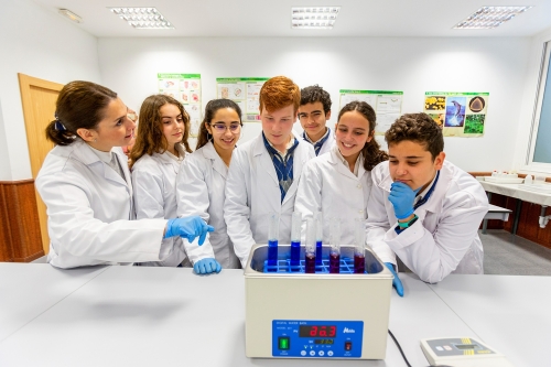 Foto Colegio San Ildefonso #1