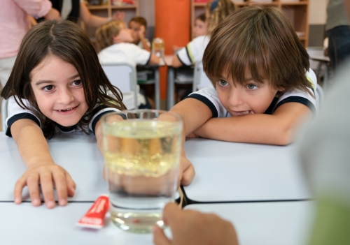 Foto Colegio Valdeserra International School #1