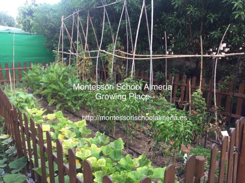 Photo Colegio MONTESSORI SCHOOL ALMERIA BRITISH EDUCATION #3