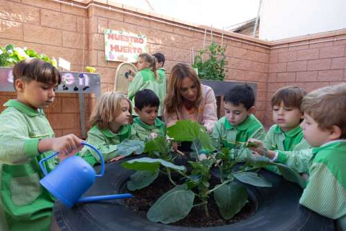 Foto Colegio Agave #3