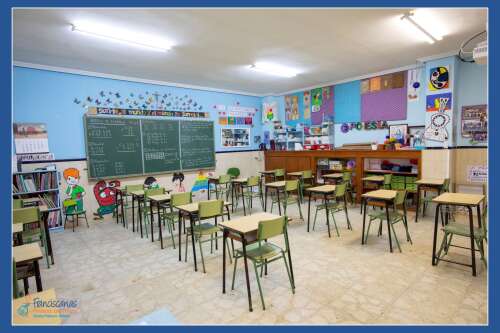 Foto Colegio Divina Pastora #3