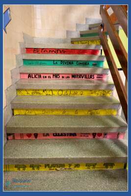 Foto Colegio Divina Pastora #3