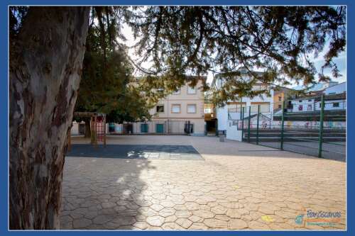 Foto Colegio Divina Pastora #3