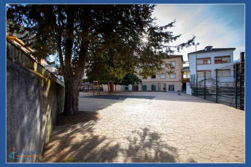 Foto Colegio Divina Pastora #3