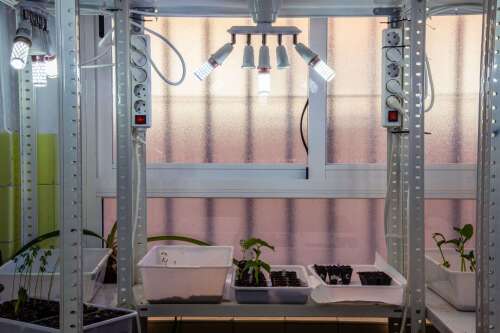 Foto Colegio Marista Nuestra Señora Del Carmen #3