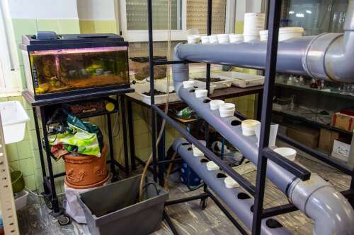 Foto Colegio Marista Nuestra Señora Del Carmen #3