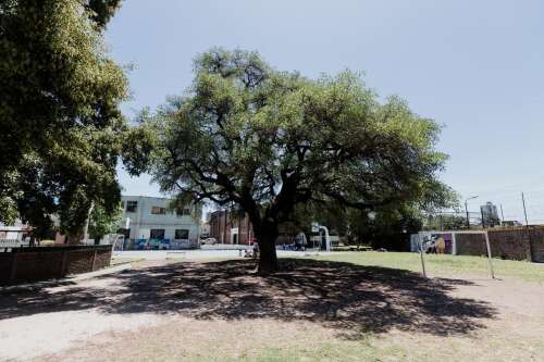 Foto Colegio Nuestra Señora Del Huerto #1