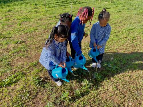 Foto Colegio La Miraculosa #3