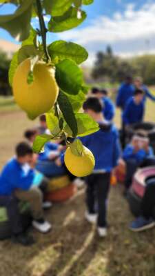 Foto Colegio La Miraculosa #3