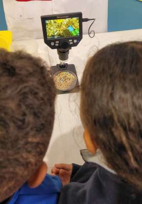 Foto Colegio La Miraculosa #3