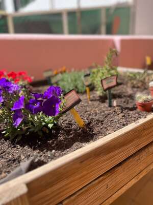 Foto Colegio Manjón #3