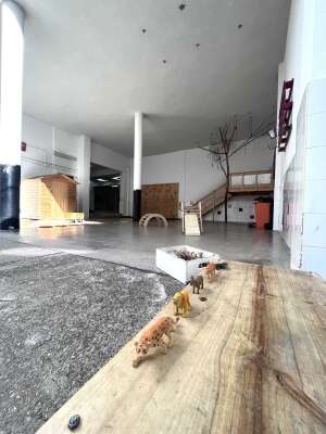 Foto Colegio Manjón #3