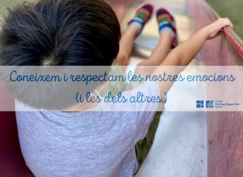 Photo Colegio Sagrat Cor - FECIB #3