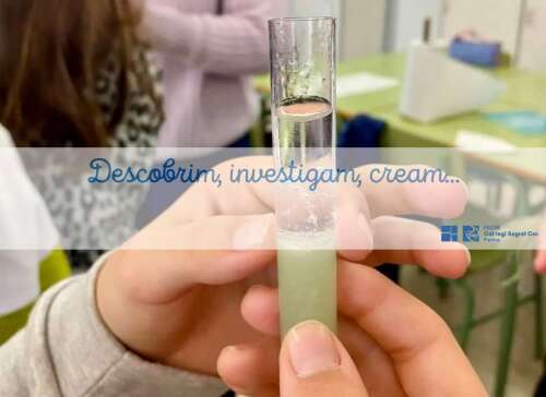 Photo Colegio Sagrat Cor - FECIB #3