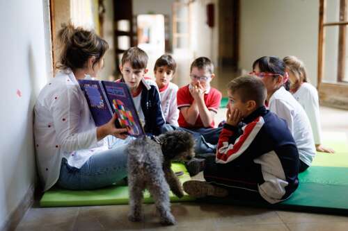 Foto Colegio Col·legi Sant Pere #3