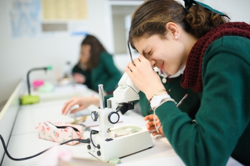 Foto Colegio Mallorca Aixa-Llaüt #2