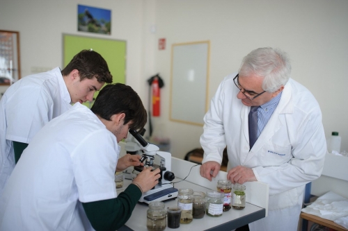 Foto Colegio Mallorca Aixa-Llaüt #2