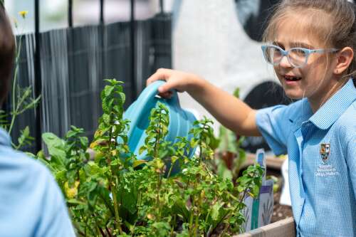 Foto Baleares International College (BIC) Sant Agustí Colegio #2